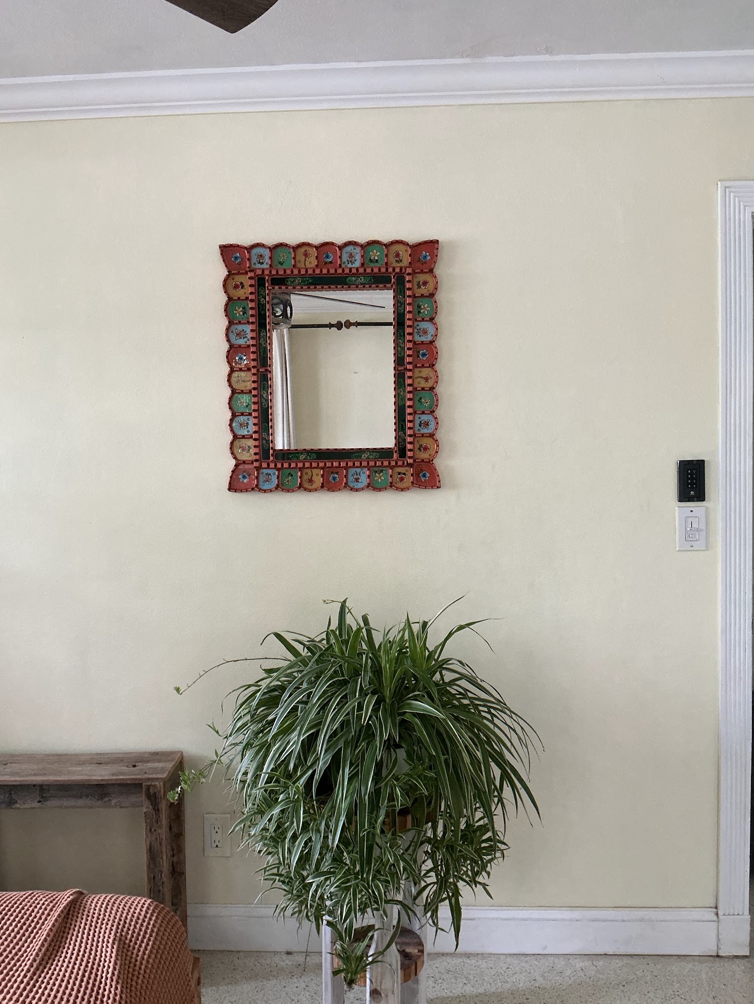 Room view of Ocean Coral hanging above a large green plant