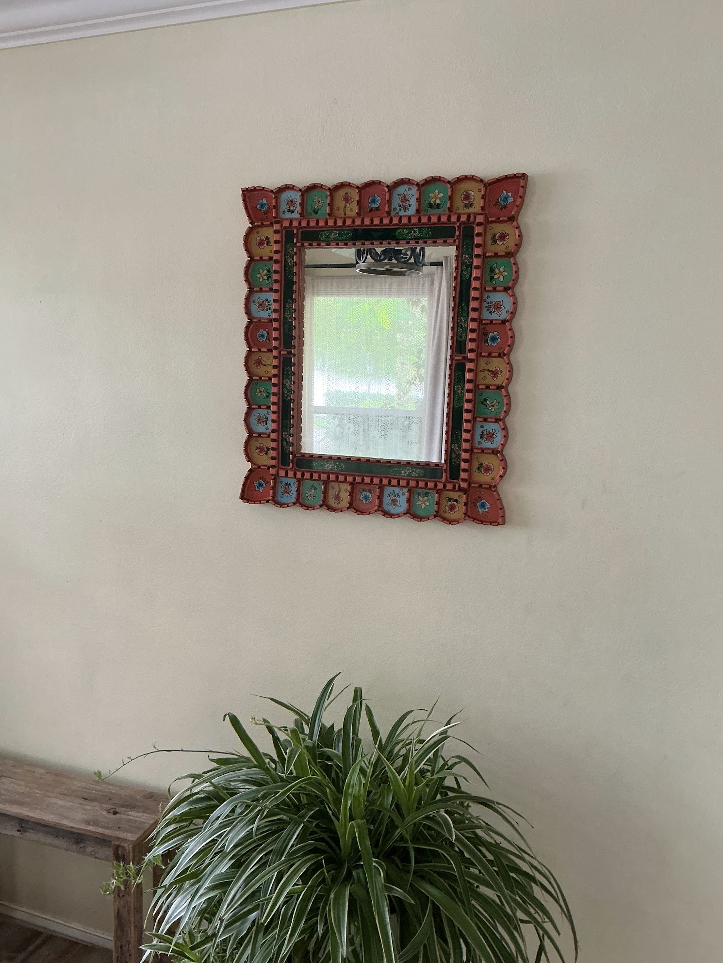 Ocean Coral displayed above a leafy plant on a light wall